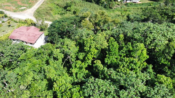 Twenty-Sixth image of Badminton Place, Inglesid in Mandeville, Manchester, Jamaica - property is For Sale