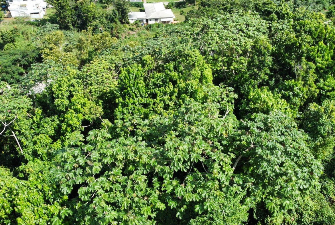 Twenty-Seventh image of Badminton Place, Inglesid in Mandeville, Manchester, Jamaica - property is For Sale