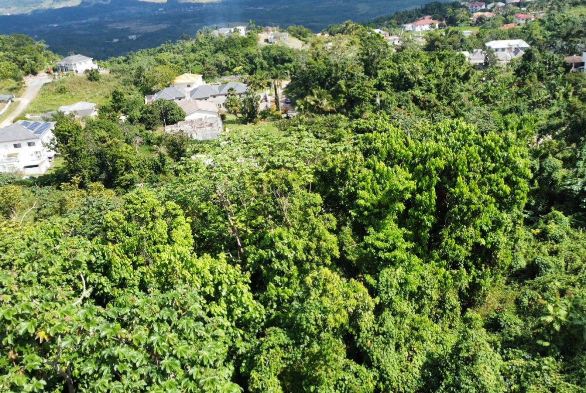 Twenty-Eighth image of Badminton Place, Inglesid in Mandeville, Manchester, Jamaica - property is For Sale
