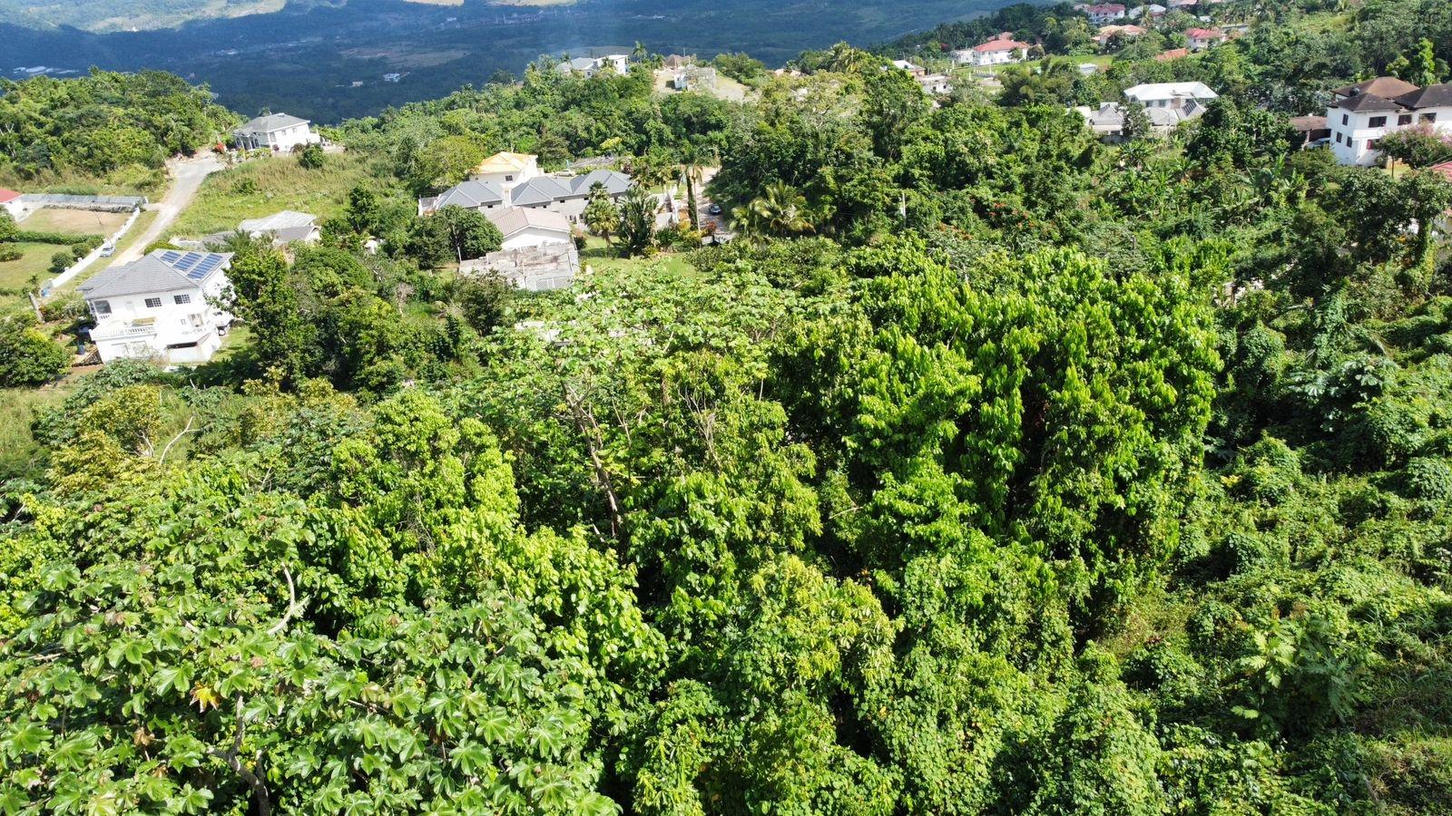 Twenty-Eighth image of Badminton Place, Inglesid in Mandeville, Manchester, Jamaica - property is For Sale
