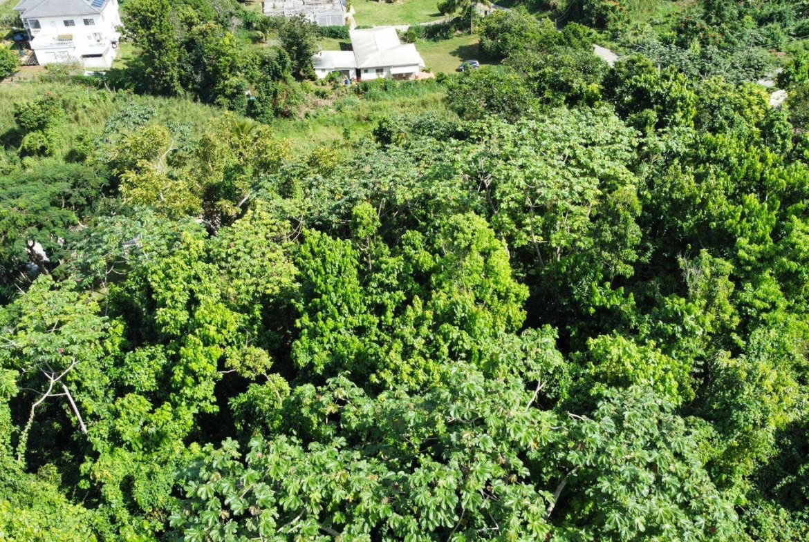 Twenty-Ninth image of Badminton Place, Inglesid in Mandeville, Manchester, Jamaica - property is For Sale