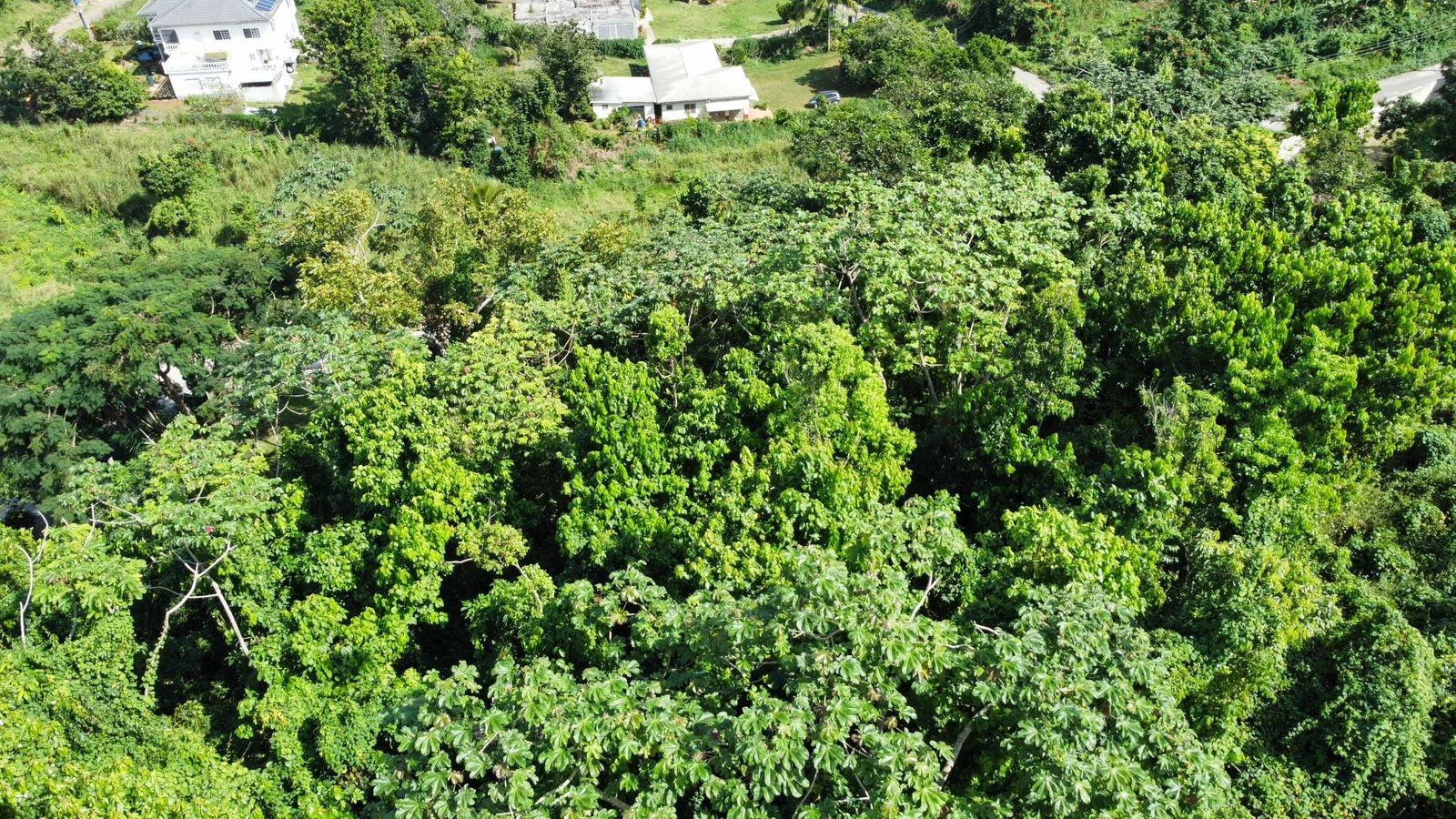 Twenty-Ninth image of Badminton Place, Inglesid in Mandeville, Manchester, Jamaica - property is For Sale