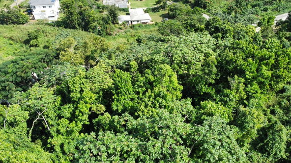 Twenty-Ninth image of Badminton Place, Inglesid in Mandeville, Manchester, Jamaica - property is For Sale