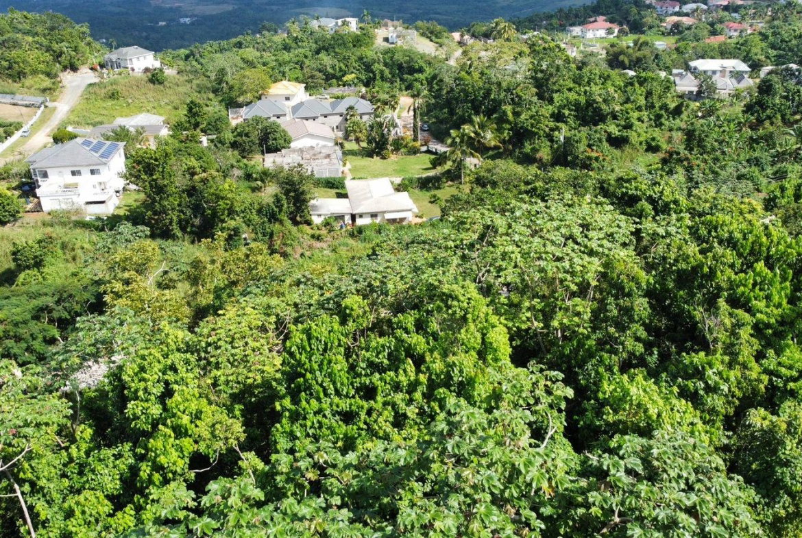 Thirtieth image of Badminton Place, Inglesid in Mandeville, Manchester, Jamaica - property is For Sale