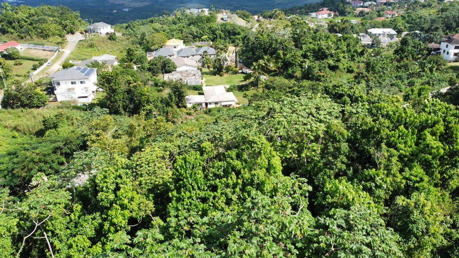 Thirtieth image of Badminton Place, Inglesid in Mandeville, Manchester, Jamaica - property is For Sale