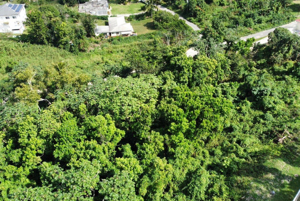 Fourth image of Badminton Place, Inglesid in Mandeville, Manchester, Jamaica - property is For Sale