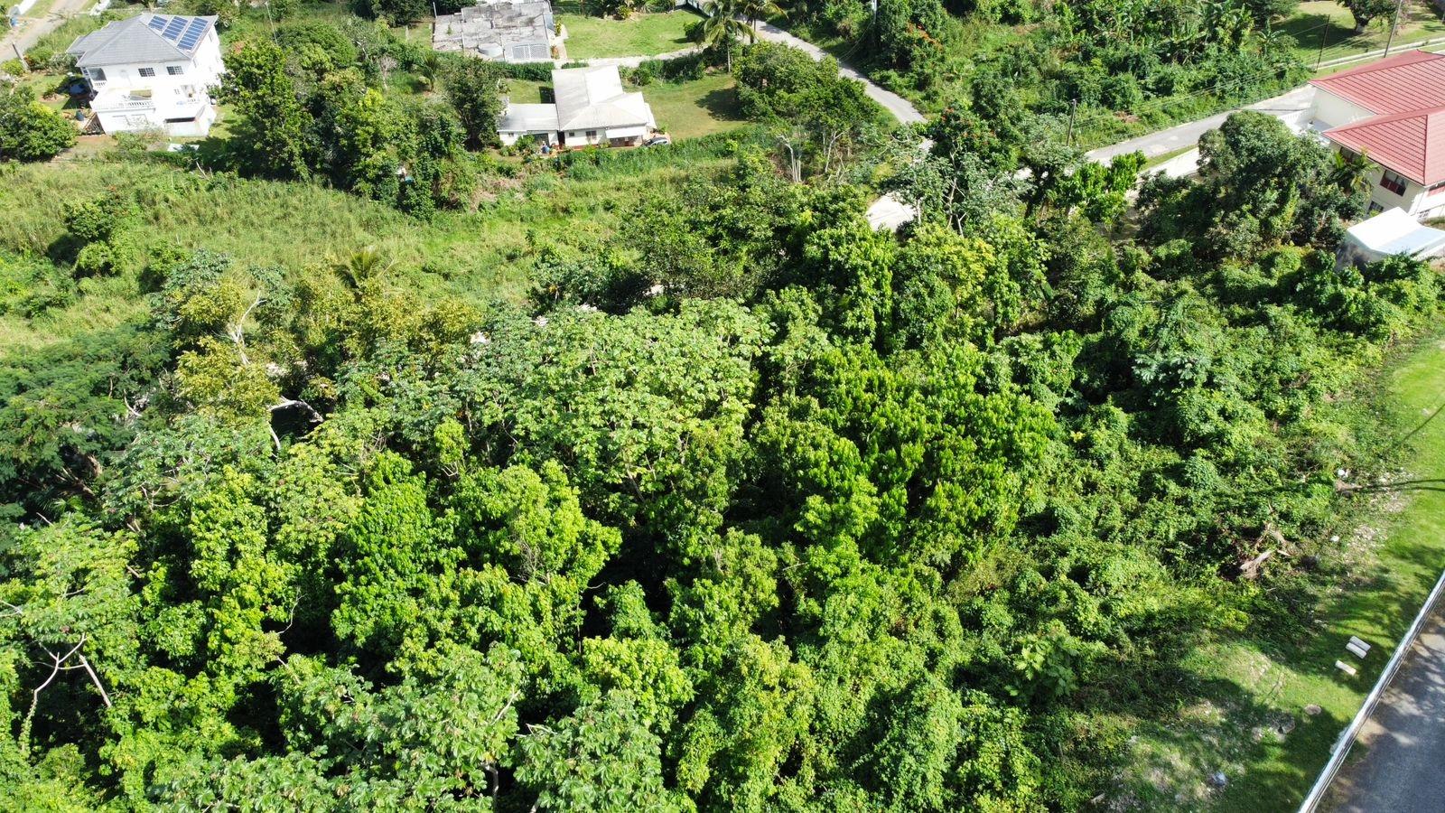 Fourth image of Badminton Place, Inglesid in Mandeville, Manchester, Jamaica - property is For Sale