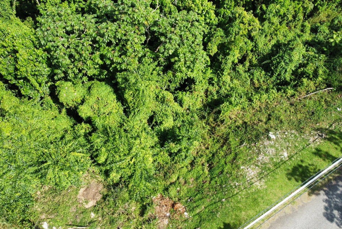 Fifth image of Badminton Place, Inglesid in Mandeville, Manchester, Jamaica - property is For Sale