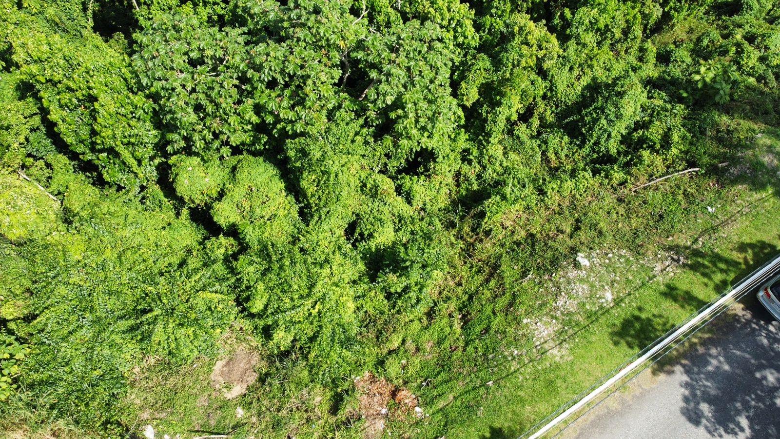 Fifth image of Badminton Place, Inglesid in Mandeville, Manchester, Jamaica - property is For Sale