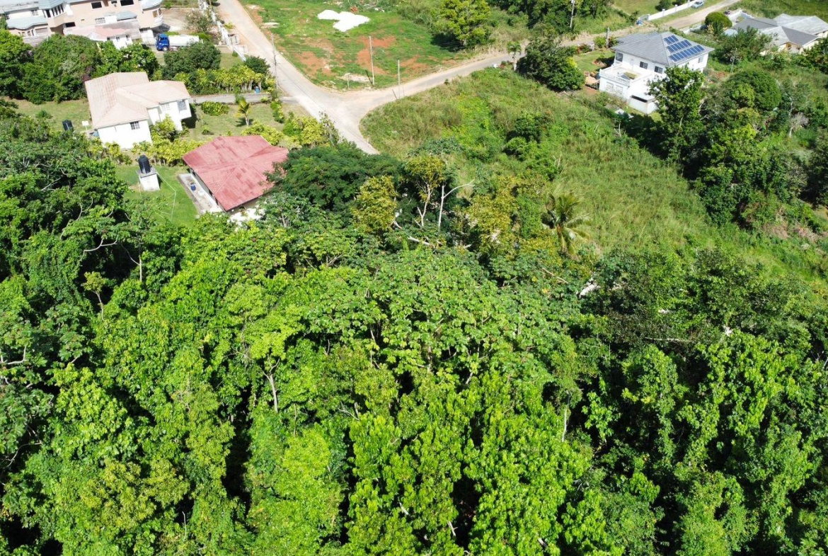 Sixth image of Badminton Place, Inglesid in Mandeville, Manchester, Jamaica - property is For Sale
