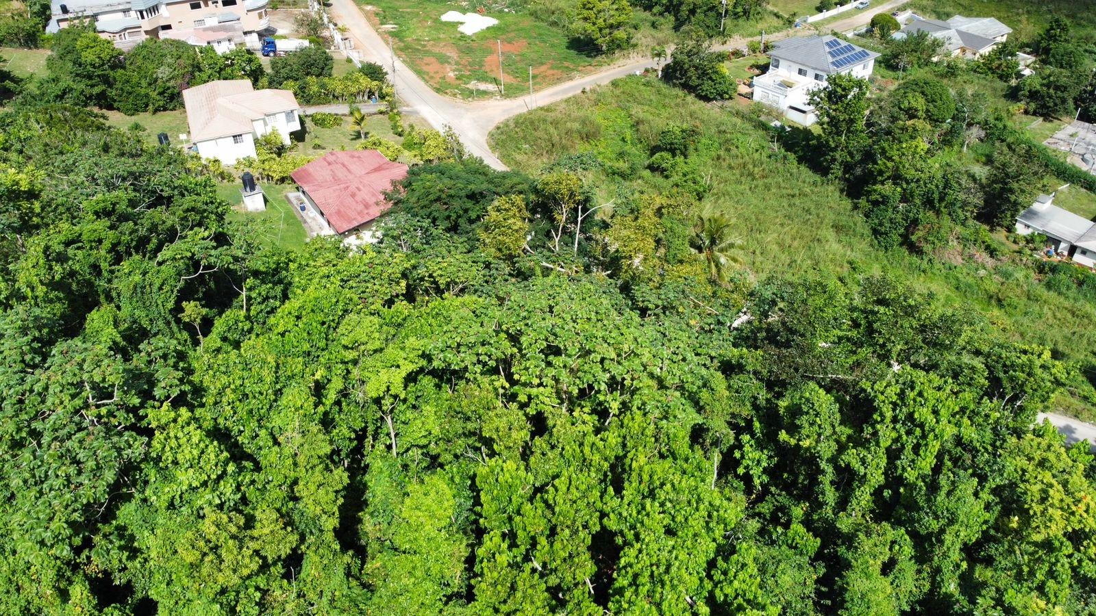 Sixth image of Badminton Place, Inglesid in Mandeville, Manchester, Jamaica - property is For Sale