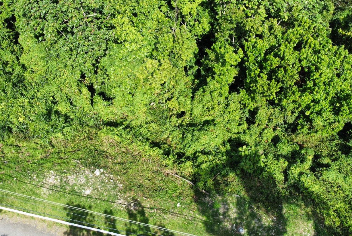 Seventh image of Badminton Place, Inglesid in Mandeville, Manchester, Jamaica - property is For Sale