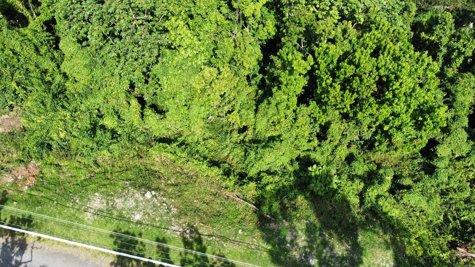 Seventh image of Badminton Place, Inglesid in Mandeville, Manchester, Jamaica - property is For Sale