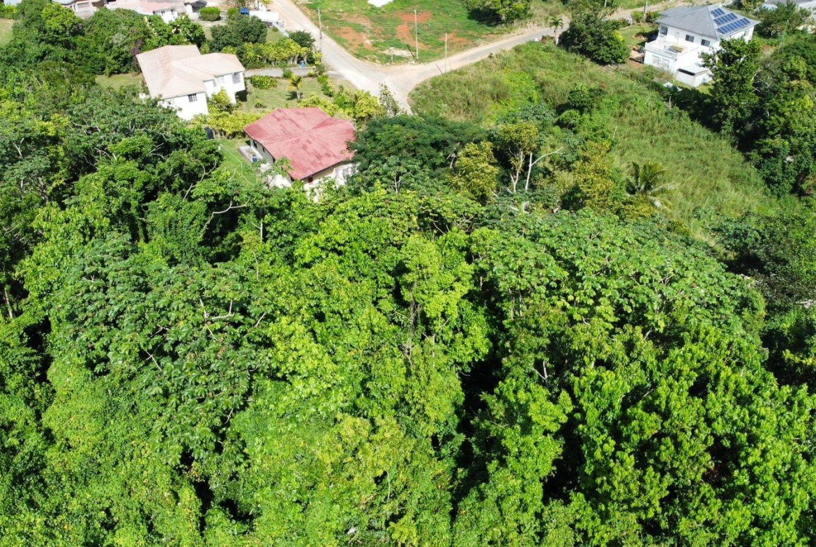 Eighth image of Badminton Place, Inglesid in Mandeville, Manchester, Jamaica - property is For Sale