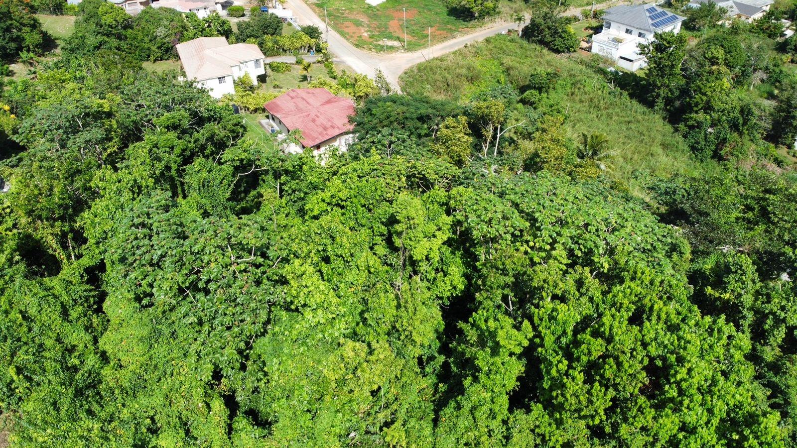 Eighth image of Badminton Place, Inglesid in Mandeville, Manchester, Jamaica - property is For Sale