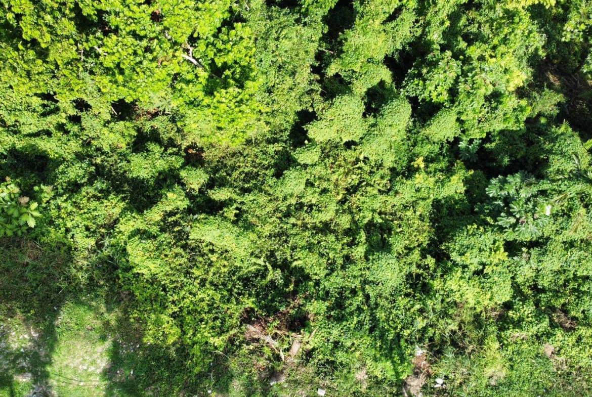 Ninth image of Badminton Place, Inglesid in Mandeville, Manchester, Jamaica - property is For Sale