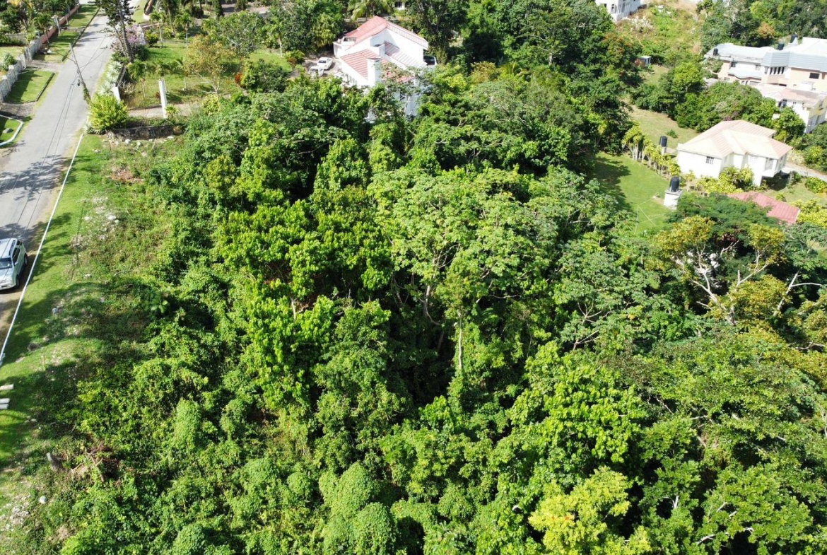 Tenth image of Badminton Place, Inglesid in Mandeville, Manchester, Jamaica - property is For Sale