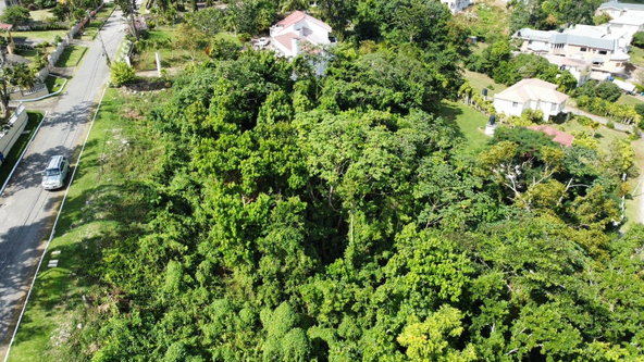 Tenth image of Badminton Place, Inglesid in Mandeville, Manchester, Jamaica - property is For Sale