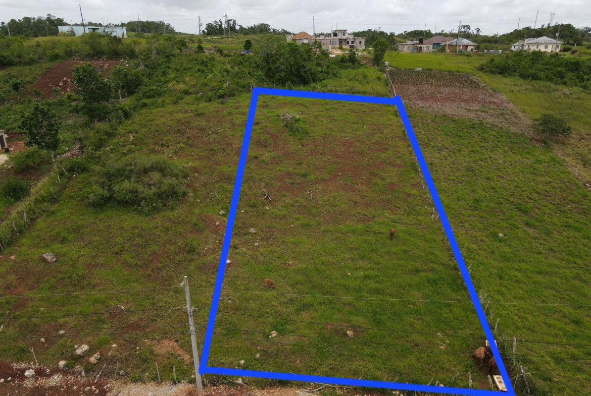 Second image of 99 Newark Estate in New Hark Estate, Manchester, Jamaica - property is For Sale