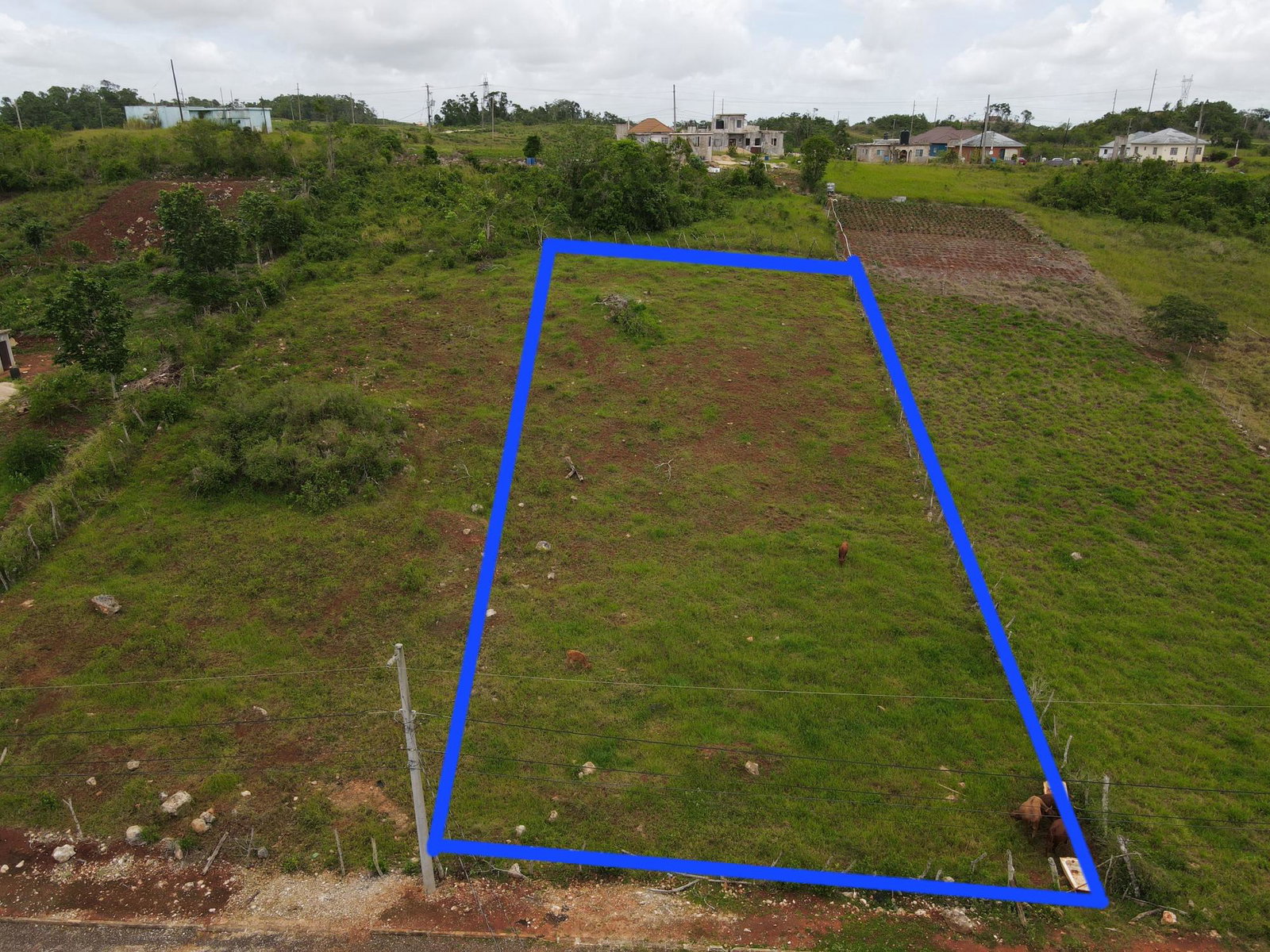 Prime-Residential-Lot-for-Sale-in-Newark-Estate-Manchester Second image of 99 Newark Estate in New Hark Estate, Manchester, Jamaica - property is For Sale