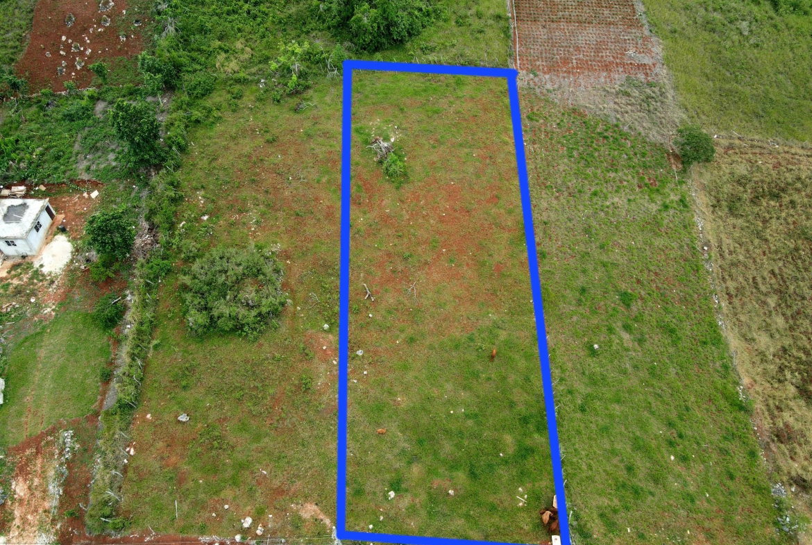 First image of 99 Newark Estate in New Hark Estate, Manchester, Jamaica - property is For Sale