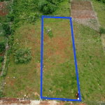 First image of 99 Newark Estate in New Hark Estate, Manchester, Jamaica - property is For Sale