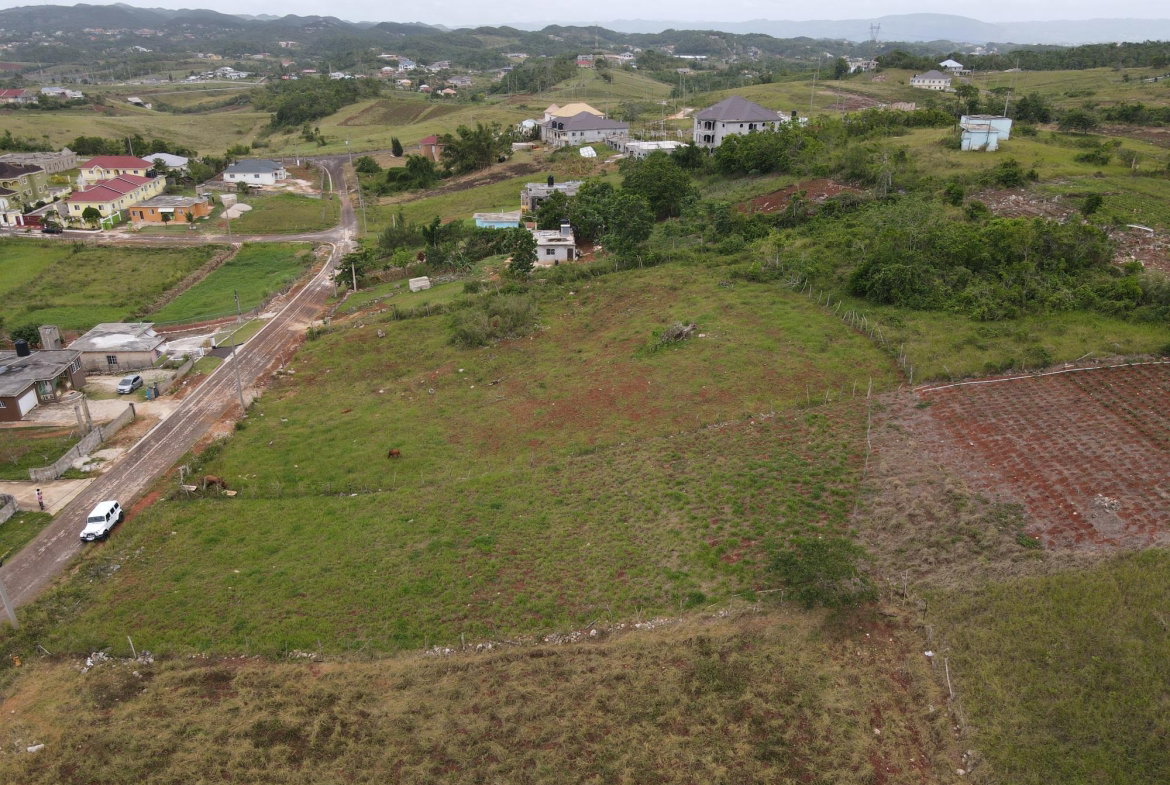 Sixth image of 99 Newark Estate in New Hark Estate, Manchester, Jamaica - property is For Sale