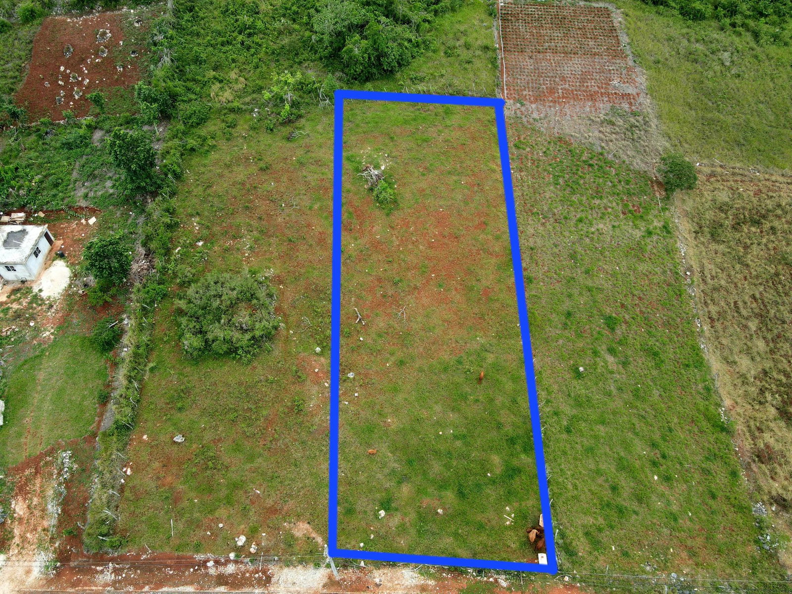 Prime-Residential-Lot-for-Sale-in-Newark-Estate-Manchester First image of 99 Newark Estate in New Hark Estate, Manchester, Jamaica - property is For Sale