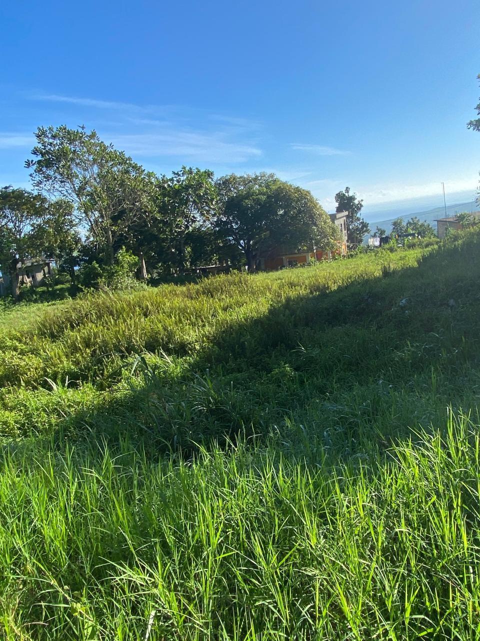 Fourth image of 4 Cottage, Beecher Town in Beecher Town, St. Ann, Jamaica - property is For Sale
