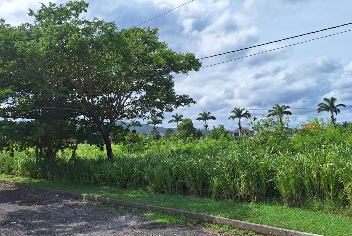 Second image of Lot# 284 Cedar Ave, Plantation Vil in Plantation Village, St. Ann, Jamaica - property is For Sale
