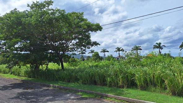 Second image of Lot# 284 Cedar Ave, Plantation Vil in Plantation Village, St. Ann, Jamaica - property is For Sale