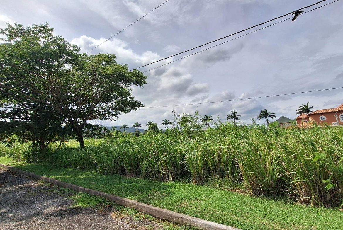 Third image of Lot# 284 Cedar Ave, Plantation Vil in Plantation Village, St. Ann, Jamaica - property is For Sale