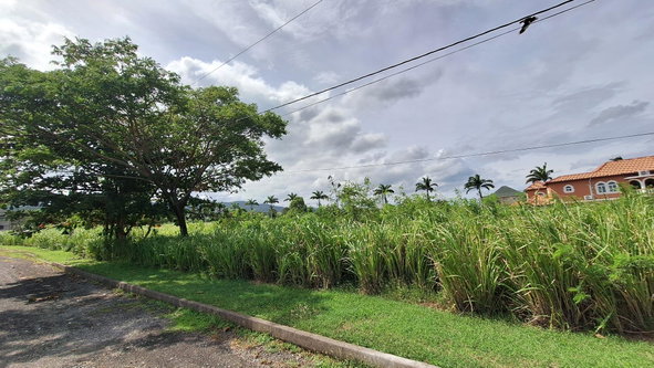 Third image of Lot# 284 Cedar Ave, Plantation Vil in Plantation Village, St. Ann, Jamaica - property is For Sale