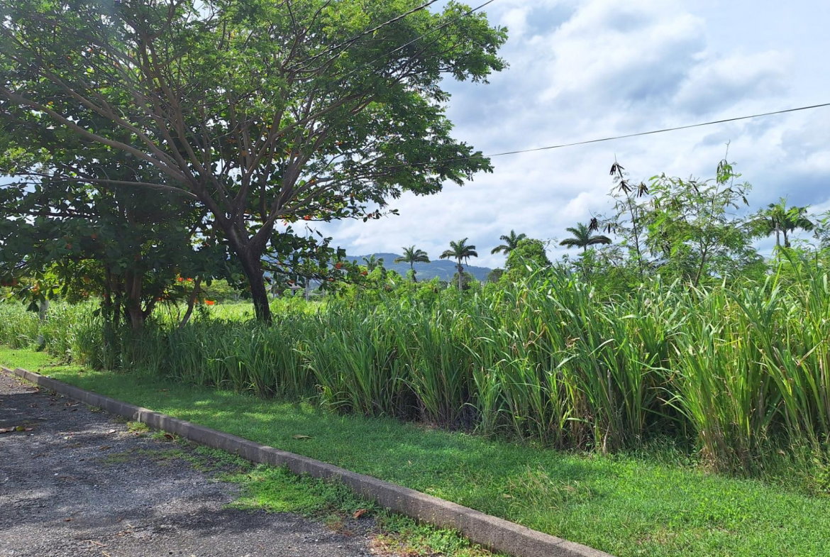 Fourth image of Lot# 284 Cedar Ave, Plantation Vil in Plantation Village, St. Ann, Jamaica - property is For Sale