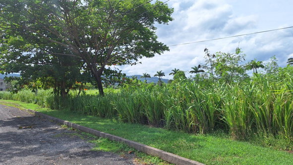 Fourth image of Lot# 284 Cedar Ave, Plantation Vil in Plantation Village, St. Ann, Jamaica - property is For Sale