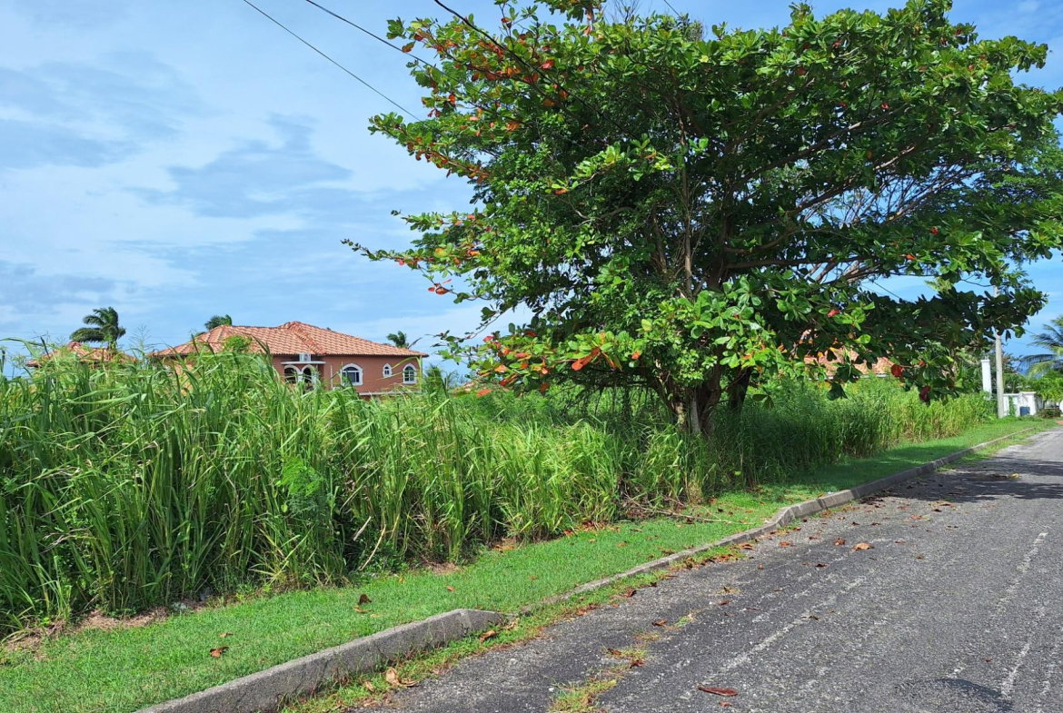 Fifth image of Lot# 284 Cedar Ave, Plantation Vil in Plantation Village, St. Ann, Jamaica - property is For Sale