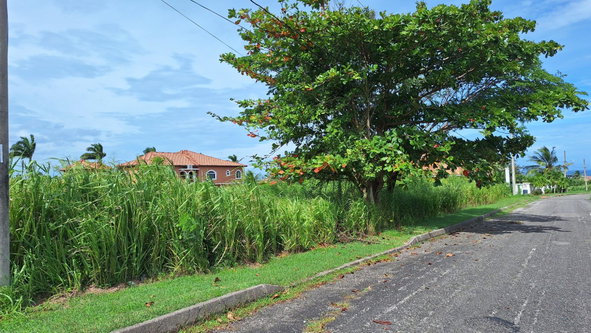 Fifth image of Lot# 284 Cedar Ave, Plantation Vil in Plantation Village, St. Ann, Jamaica - property is For Sale