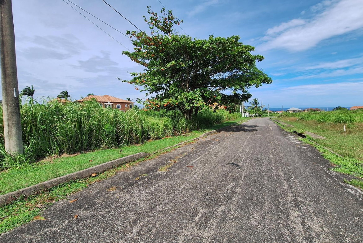 Sixth image of Lot# 284 Cedar Ave, Plantation Vil in Plantation Village, St. Ann, Jamaica - property is For Sale