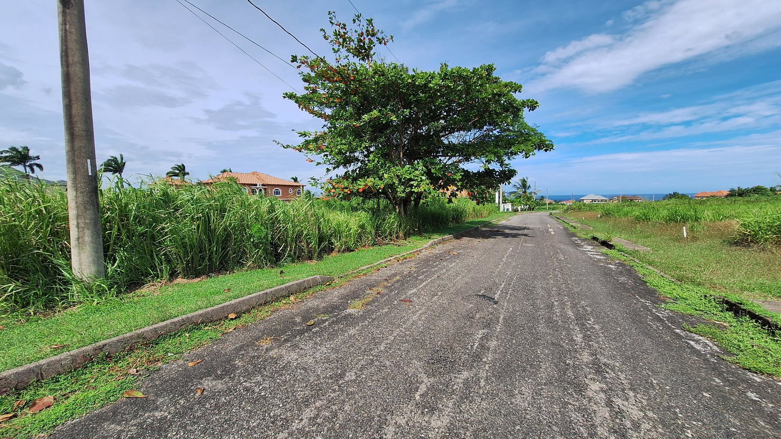 Prime-Residential-Lot-for-Sale-in-Plantation-Village-St.-Ann Sixth image of Lot# 284 Cedar Ave, Plantation Vil in Plantation Village, St. Ann, Jamaica - property is For Sale