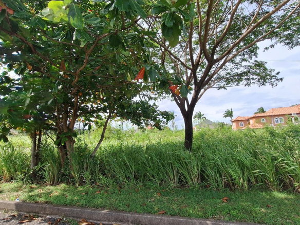 First image of Lot# 284 Cedar Ave, Plantation Vil in Plantation Village, St. Ann, Jamaica - property is For Sale