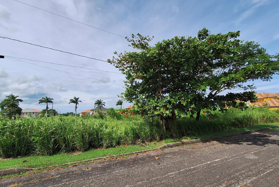 Seventh image of Lot# 284 Cedar Ave, Plantation Vil in Plantation Village, St. Ann, Jamaica - property is For Sale
