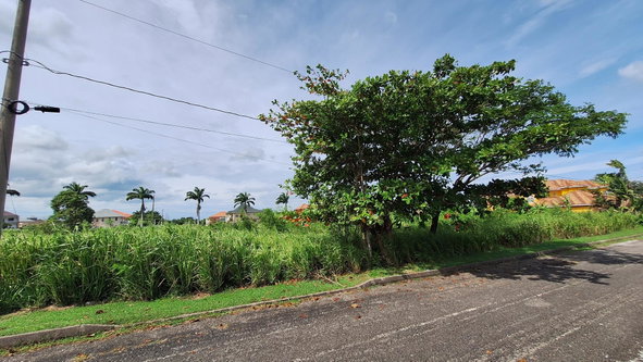 Seventh image of Lot# 284 Cedar Ave, Plantation Vil in Plantation Village, St. Ann, Jamaica - property is For Sale