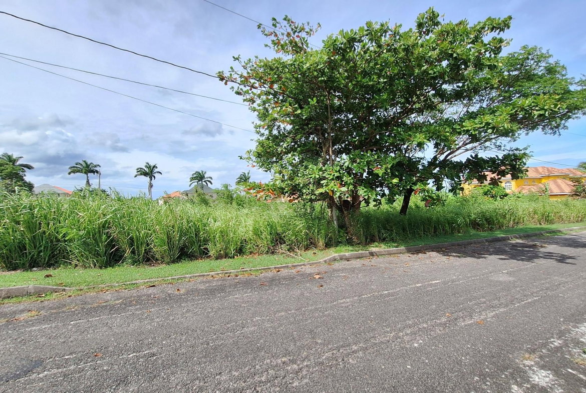 Eighth image of Lot# 284 Cedar Ave, Plantation Vil in Plantation Village, St. Ann, Jamaica - property is For Sale