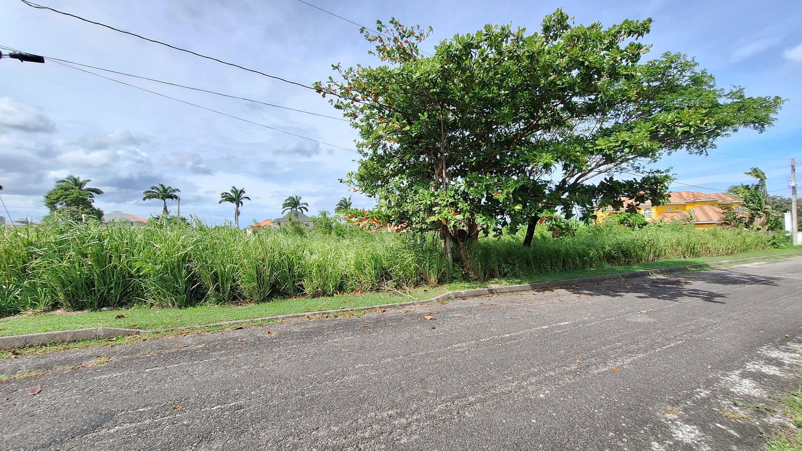 Prime-Residential-Lot-for-Sale-in-Plantation-Village-St.-Ann Eighth image of Lot# 284 Cedar Ave, Plantation Vil in Plantation Village, St. Ann, Jamaica - property is For Sale