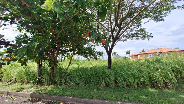 First image of Lot# 284 Cedar Ave, Plantation Vil in Plantation Village, St. Ann, Jamaica - property is For Sale
