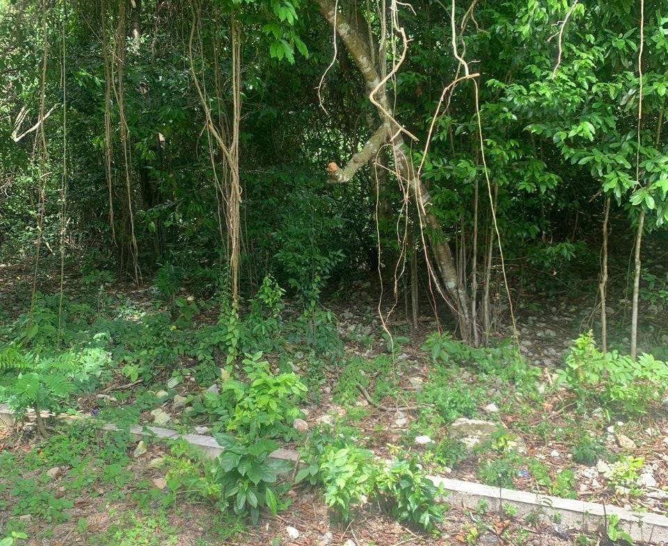 Second image of Lot 140 Cashew Close And Puie Dri in Runaway Bay, St. Ann, Jamaica - property is For Sale
