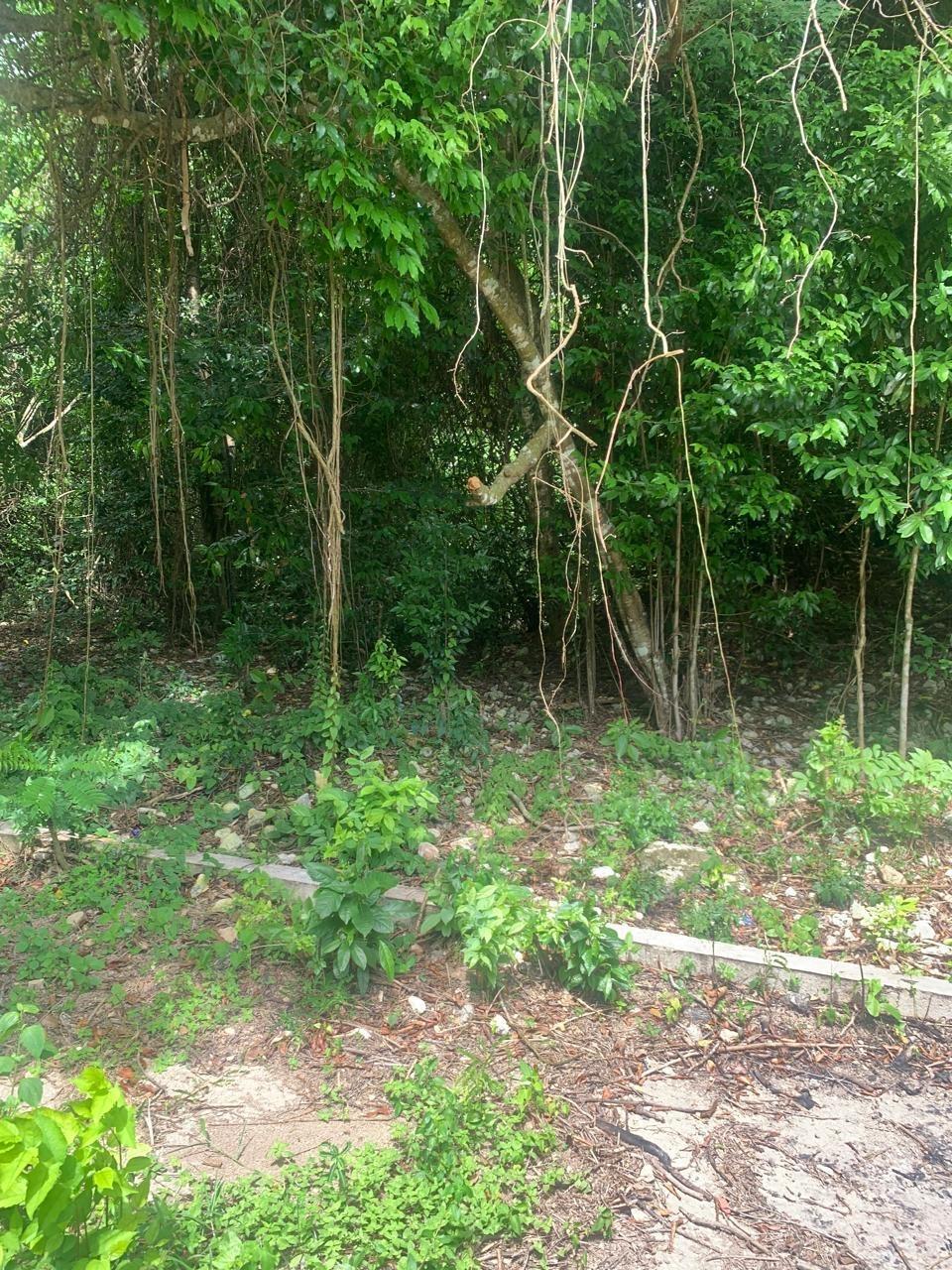 Second image of Lot 140 Cashew Close And Puie Dri in Runaway Bay, St. Ann, Jamaica - property is For Sale