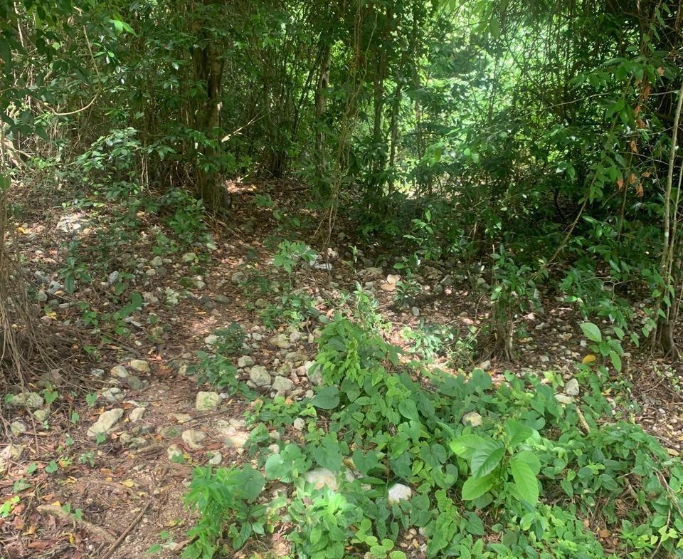 Third image of Lot 140 Cashew Close And Puie Dri in Runaway Bay, St. Ann, Jamaica - property is For Sale
