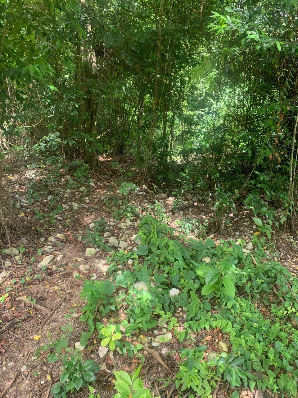 Third image of Lot 140 Cashew Close And Puie Dri in Runaway Bay, St. Ann, Jamaica - property is For Sale