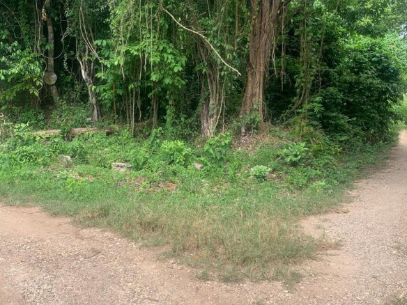First image of Lot 140 Cashew Close And Puie Dri in Runaway Bay, St. Ann, Jamaica - property is For Sale